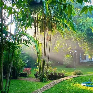  Gasthof Mango House Japanese Sri Lanka