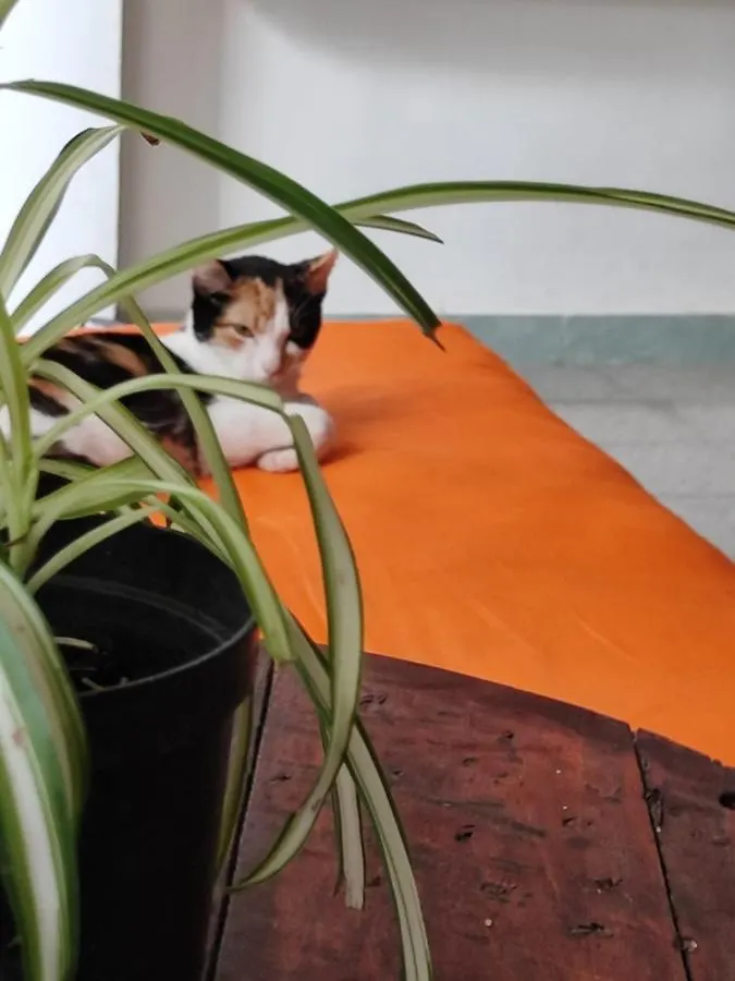 Serrania Hostal Medellín